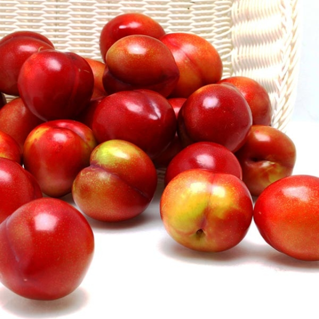 [햇 수확] 대석 자두(60g 내외) 2kg 1박스