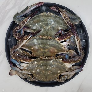 25년 서해안 활꽃게 2kg (6-9마리내외/빙장포장)