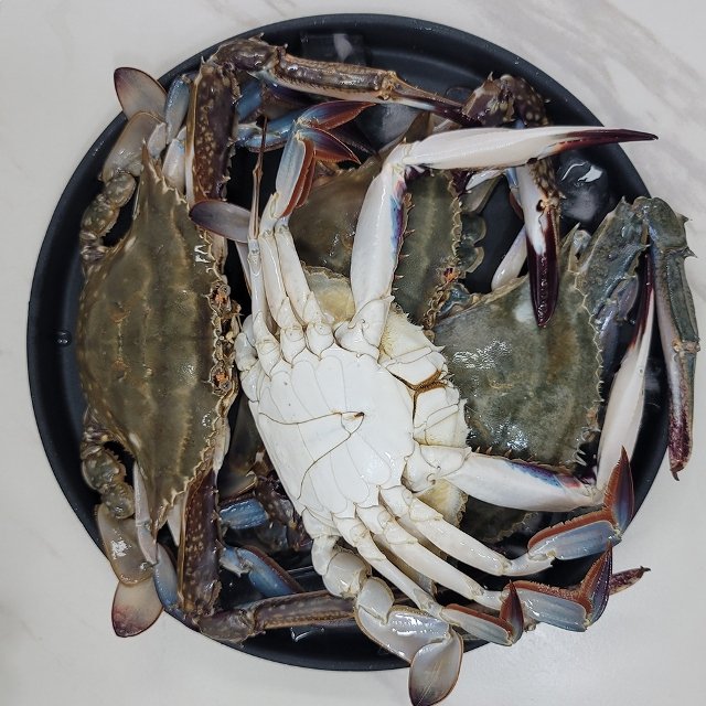 25년 서해안 활꽃게 2kg (6-9마리내외/빙장포장)