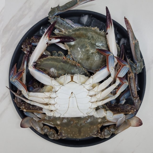 25년 서해안 활꽃게 2kg (6-9마리내외/빙장포장)