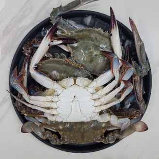 25년 서해안 활꽃게 2kg (6-9마리내외/빙장포장)