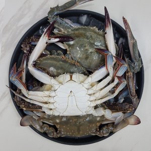 25년 서해안 활꽃게 2kg (6-9마리내외/빙장포장)