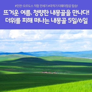 [노랑풍선] 내몽골 초원+사막+별빛힐링 5일/6일 (현대식게르 + 캠프파이어/불꽃놀이)