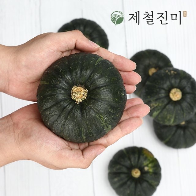 (6/12 순차배송) 제주 햇 미니밤단호박 특품 로열과 5kg (개당 300~550g)