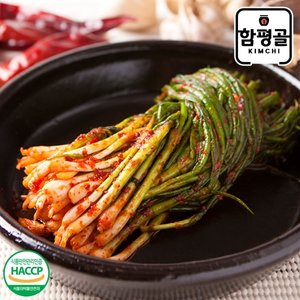 [함평골김치] 감칠맛이 풍부한 전라도 파김치 1kg