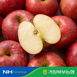 거창북부농협 실속 사과 2.5kg x 2box (20~30과 / 총 5kg)