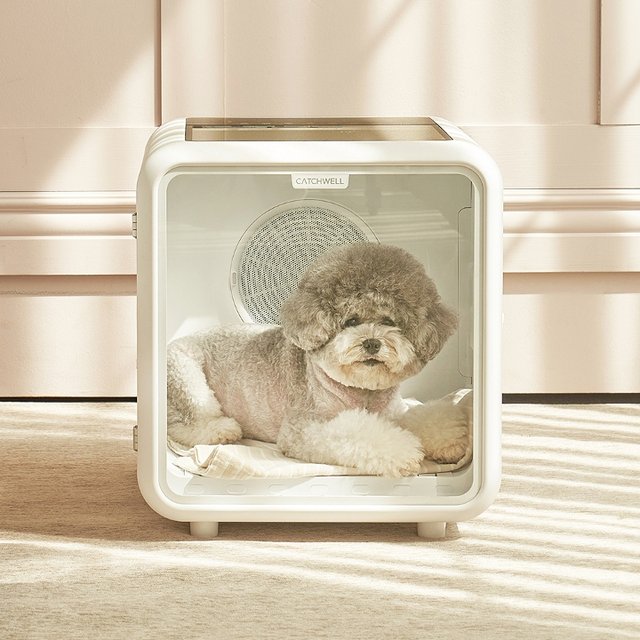 캐치웰 펫드라이룸 PD281강아지 고양이 드라이기 