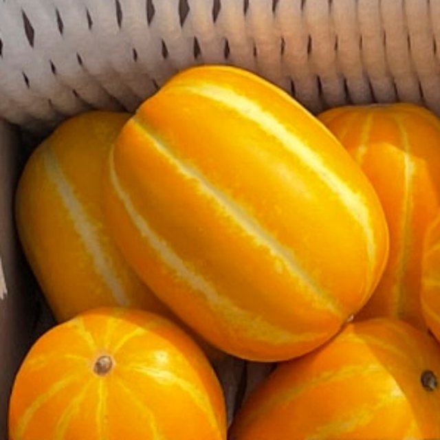 [오케이농장] 성주참외 가정용 한입소과 2kg (12과수 내외) 개당 150g 내외