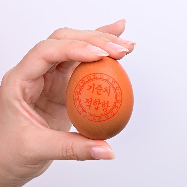 무항생제 신선계란 대란 60구/당일생산출고 청라상회계란