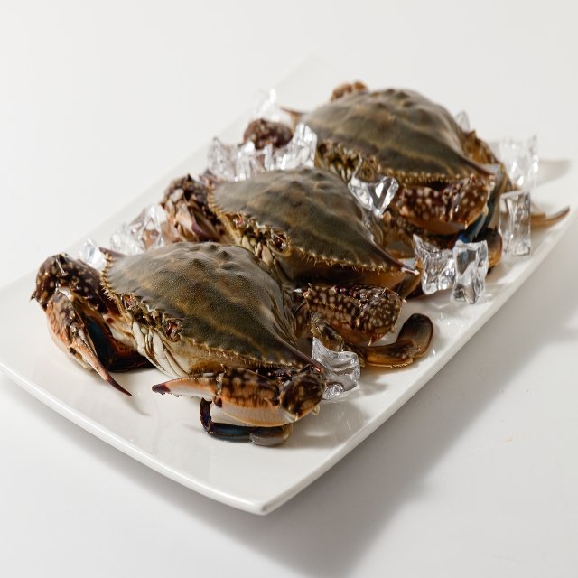 국내산 제철 연평도 급냉 암꽃게 1kg x 3~5미 알배기 수율보장