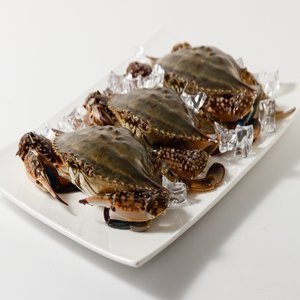 국내산 제철 연평도 급냉 암꽃게 1kg x 3~5미 알배기 수율보장