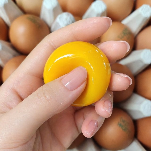 [팜스온테이블] 동물복지 달걀 무항생제 난각번호2번 유정란 40구