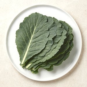 [새벽시장][우리가락]케일 250g
