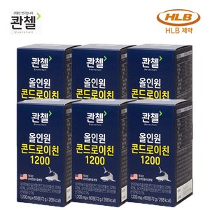 콴첼 올인원 콘드로이친 1200 12개월분