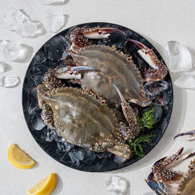 [작심밀도]맘스 제철 활암꽃게 1kg(4~6미내외)