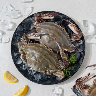 [작심밀도]맘스 제철 활암꽃게 1kg(4~6미내외)