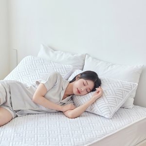 [1+1] 모니즈 아이스 쿨텍스 베개커버 듀라론 냉감소재 밴딩 덧베개 (2P)