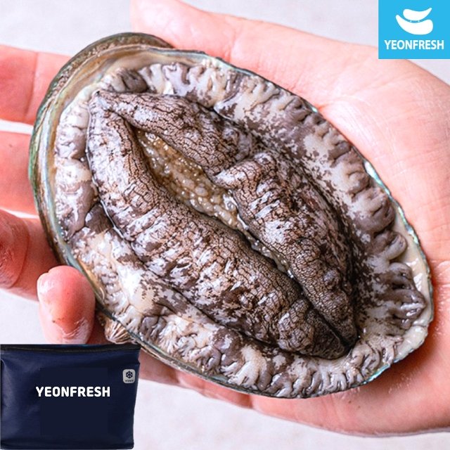 [선물포장] 완도활전복 1kg 7-8미 (미당125g내외)