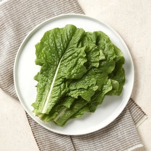[새벽시장][우리가락]로메인 500g