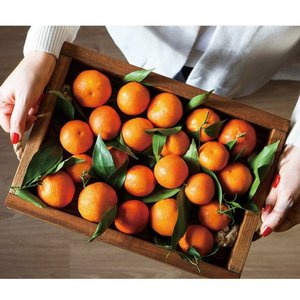 제주직송 고당도 하우스 감귤 2.5kg 중대과(박스제외 실중량)