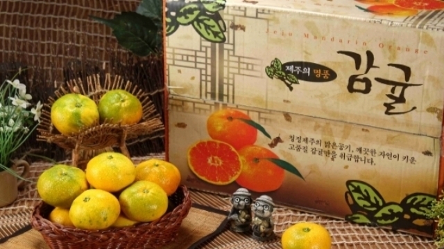 [인기농산물] 제주귤/초당옥수수/키위 外