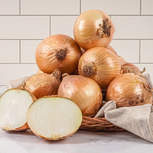 국내산 양파 대 10kg