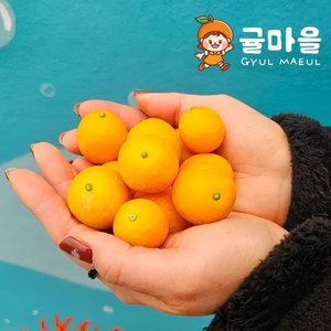 귤마을 제주직송 금귤 낑깡 2kg 혼합과