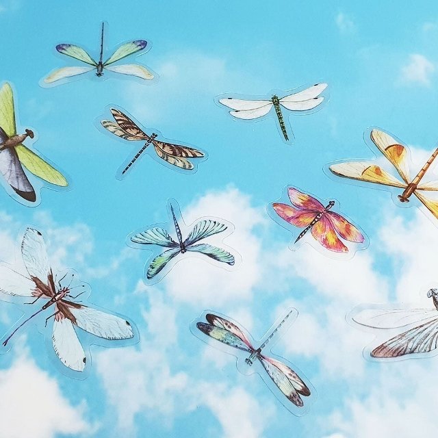 고품질 스티커 나비 40P 세트 잠자리 다꾸스티커 (WFJ1JYL)