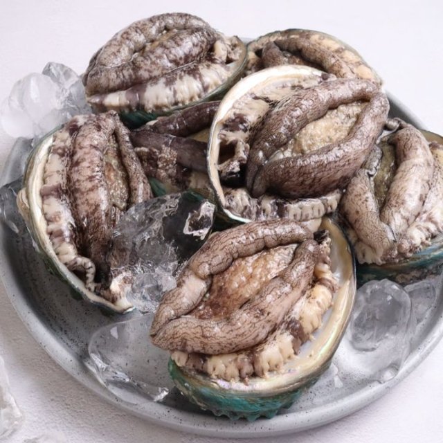 [맛잇다] 특허받은 진도 활전복 1kg (9-11미)