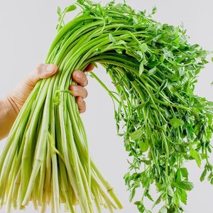 국내산 청도 미나리 500g