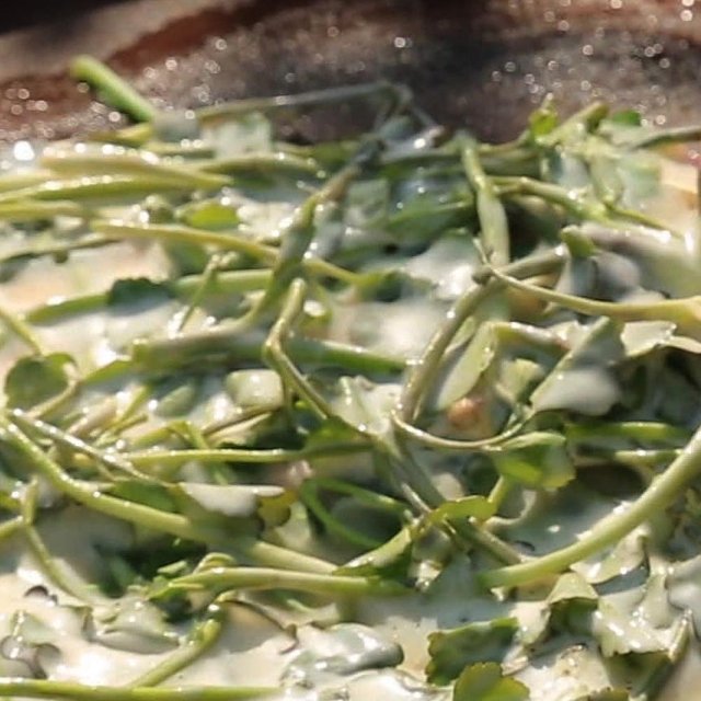 국내산 청도 미나리 500g