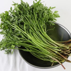 국내산 청도 미나리 500g