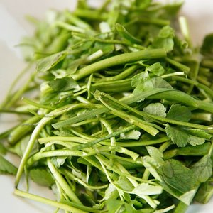 국내산 청도 미나리 500g