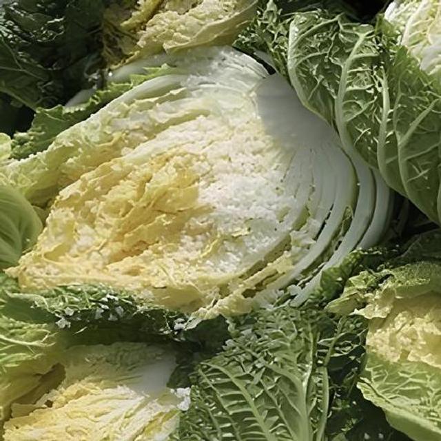 HACCP인증 국내산100 전라도 정읍 절임배추 10kg / 예약배송