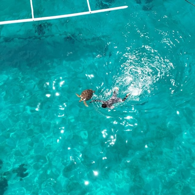 하나투어 숨겨진 낙원 보홀 4일,5일(헤난타왈라vs헤난알로나비치)