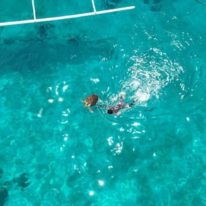 하나투어 숨겨진 낙원 보홀 4일,5일(헤난타왈라vs헤난알로나비치)