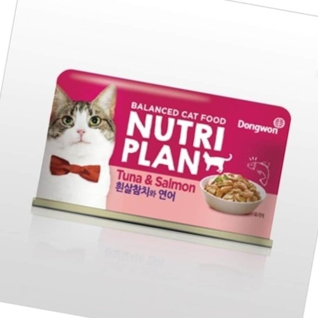고양이 습식 사료 참치 연어 영양캔 160g 이상 간식 (WFJC2M9)
