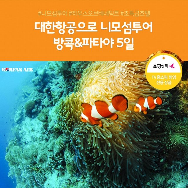 [슈퍼트래블]노랑풍선 방콕/파타야 5일 (니모섬투어+스노쿨링+핫플카페)