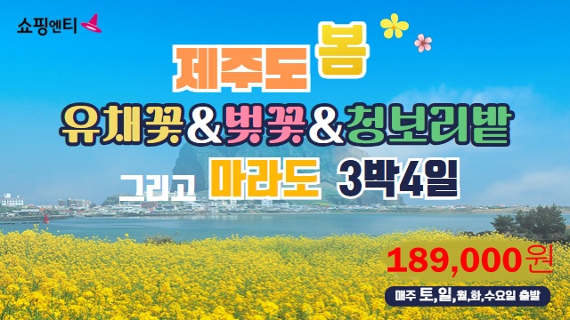 [JS투어] 제주도/마라도 4일 (제주 봄봄봄! 유채꽃/ 벚꽃 / 청보리밭 그리고 마라도! 균일가 189,000원)