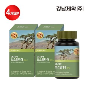 경남제약 보스웰리아 플러스 4개월 (2박스)