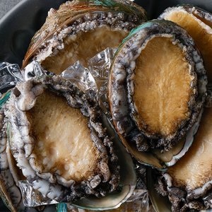 산지직송 완도 활전복 1kg 8~9미 내외 산소포장 참전복