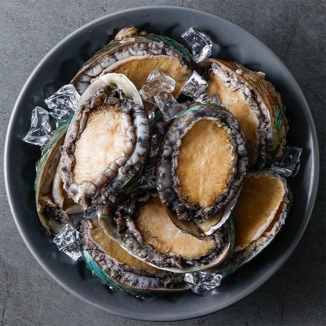 산지직송 완도 활전복 1kg 8~9미 내외 산소포장 참전복