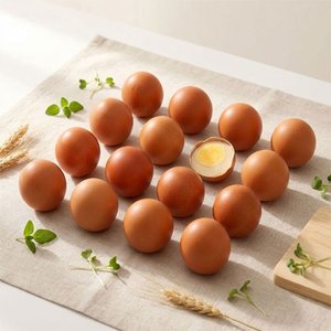 원적외선 구운란 30구 무항생제 맥반석계란 HACCP 인증