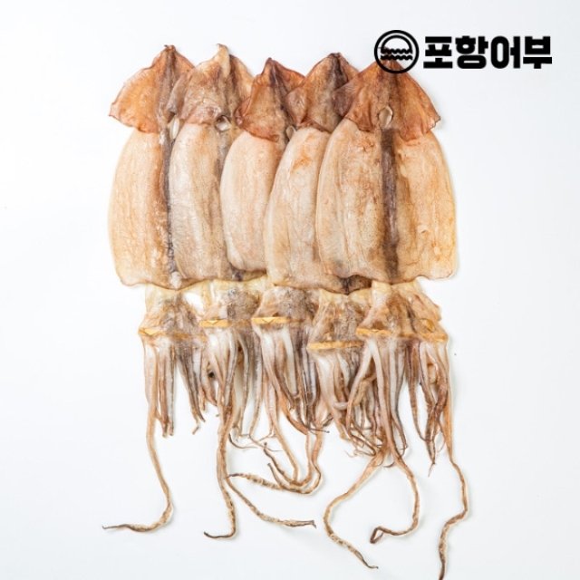 [포항어부]구룡포 반건조오징어 10마리 (900g내외)