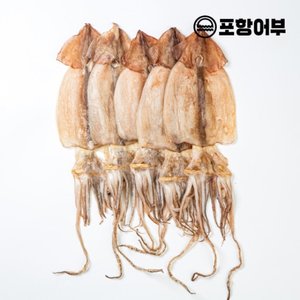 [포항어부]구룡포 반건조오징어 5마리 (450g내외)