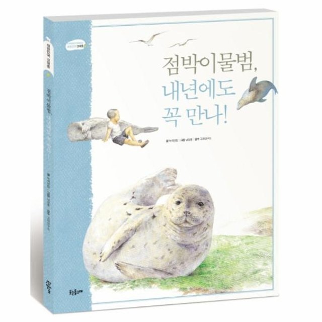 점박이 물범 내년에도 꼭 만나