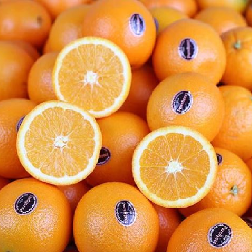 썬키스트 퓨어스펙 블랙라벨 오렌지 15-20과 3kg 중과 중소과