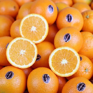 썬키스트 퓨어스펙 블랙라벨 오렌지 15-20과 3kg 중과 중소과