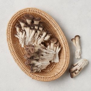 [새벽시장][우리가락]참맛타리버섯 200g