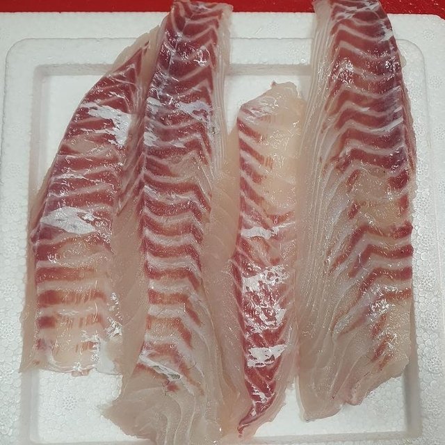 횟감용 참 돔 필렛 350g 생물 참 돔 회 필렛 참 도미 필렛 도미 회 주문 손질도미 생물도미 생선회